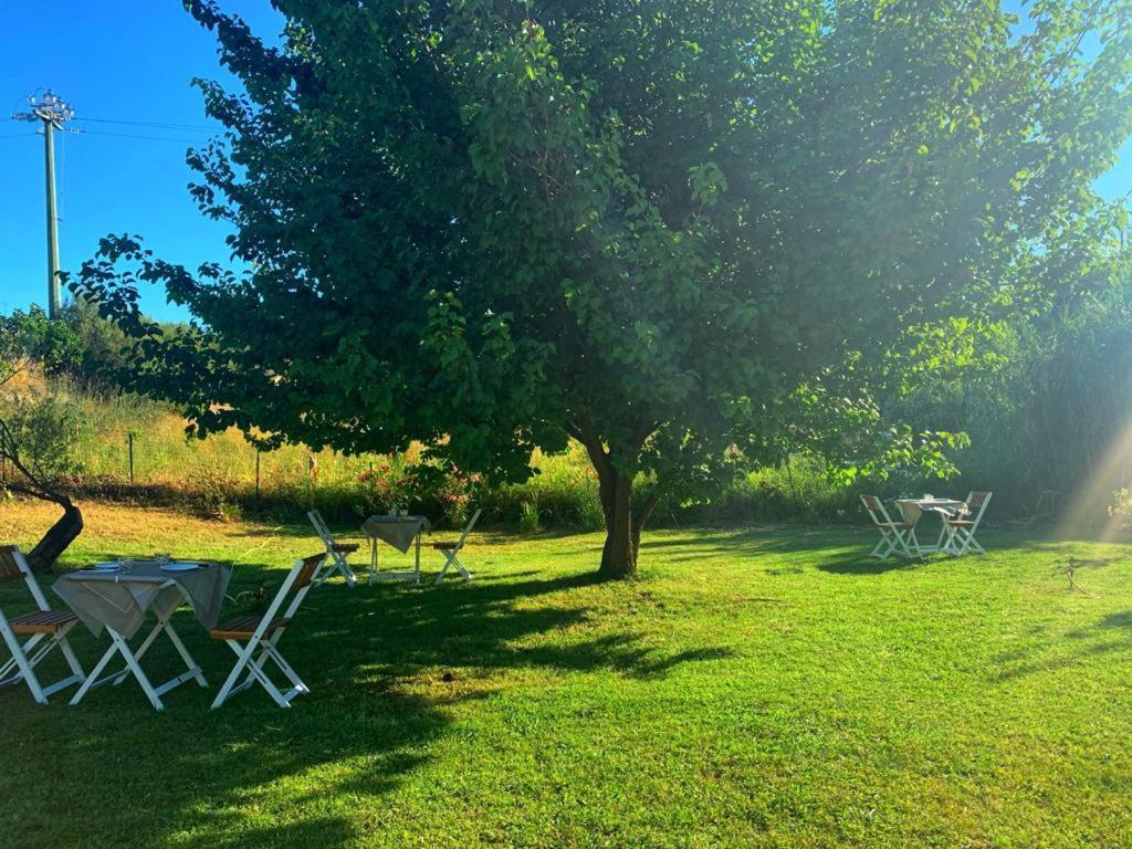 Bed & Breakfast La Petra Longa *