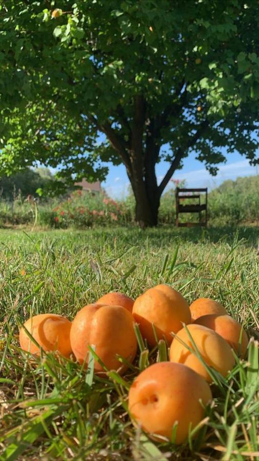 Bed & Breakfast La Petra Longa *