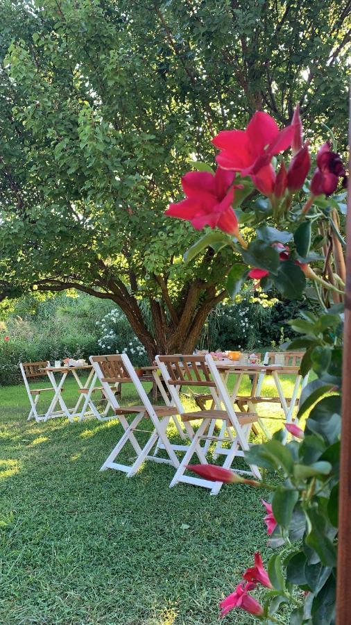 Bed & Breakfast Affittacamere La Petra Longa San Teodoro (Sardinia)
