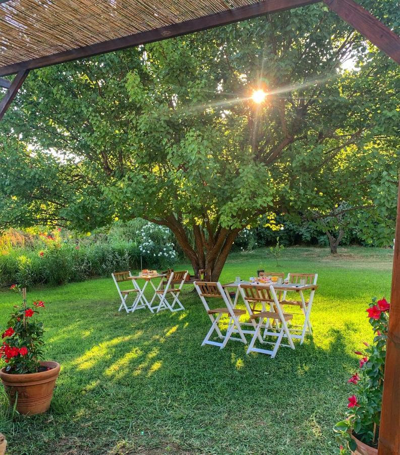 Bed & Breakfast Affittacamere La Petra Longa *